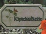 Blumenstecker Kapuzinerkresse